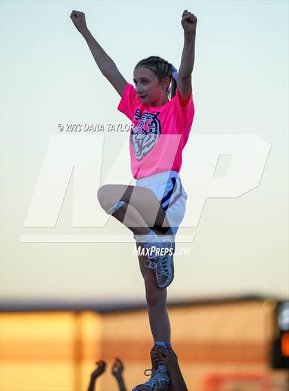 Thumbnail 3 in Merkel @ Jacksboro photogallery.