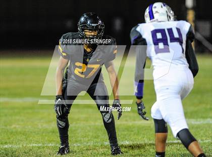 Thumbnail 1 in Pacheco @ Lathrop photogallery.