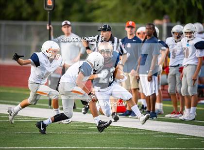 Thumbnail 3 in Cienega vs. Cholla photogallery.
