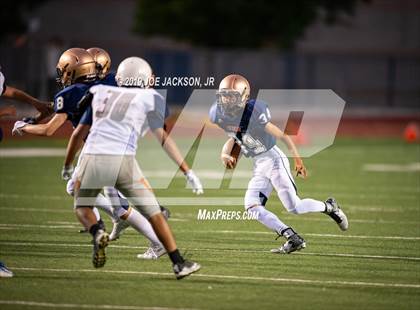 Thumbnail 2 in Cienega vs. Cholla photogallery.