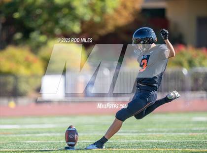 Thumbnail 2 in JV: Capuchino @ Woodside photogallery.