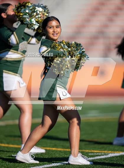 Thumbnail 1 in JV: Capuchino @ Woodside photogallery.