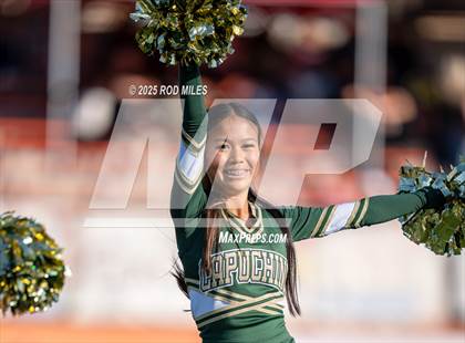 Thumbnail 2 in JV: Capuchino @ Woodside photogallery.