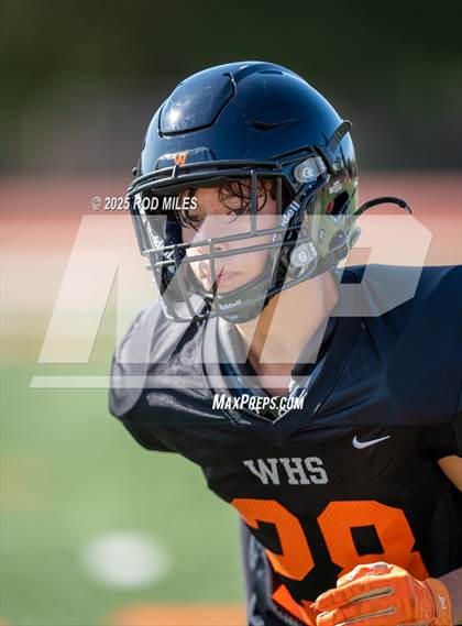 Thumbnail 2 in JV: Capuchino @ Woodside photogallery.