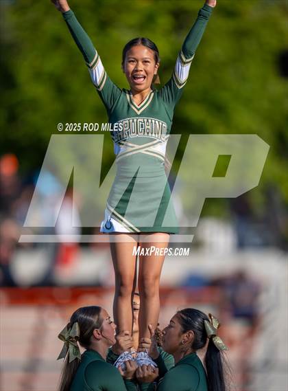 Thumbnail 1 in JV: Capuchino @ Woodside photogallery.
