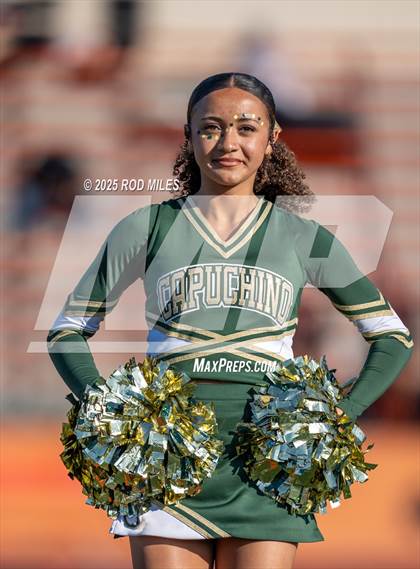 Thumbnail 3 in JV: Capuchino @ Woodside photogallery.