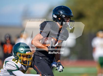 Thumbnail 3 in JV: Capuchino @ Woodside photogallery.