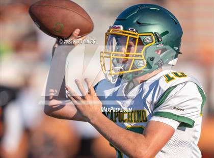 Thumbnail 1 in JV: Capuchino @ Woodside photogallery.