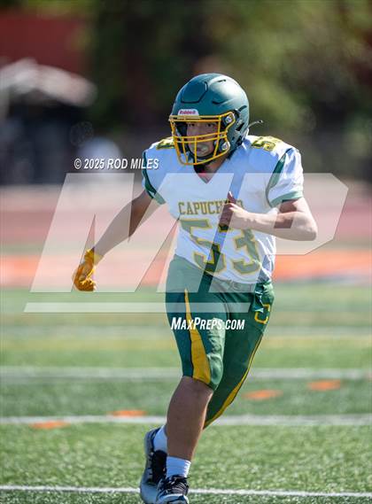 Thumbnail 2 in JV: Capuchino @ Woodside photogallery.