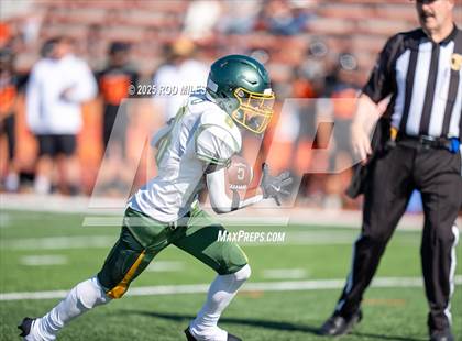Thumbnail 2 in JV: Capuchino @ Woodside photogallery.