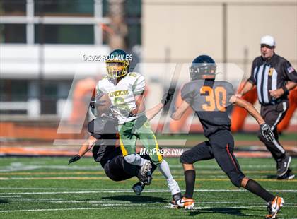 Thumbnail 1 in JV: Capuchino @ Woodside photogallery.