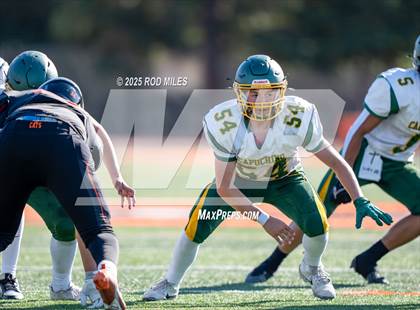 Thumbnail 1 in JV: Capuchino @ Woodside photogallery.