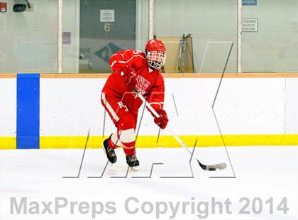 Thumbnail 1 in Regis Jesuit @ Cherry Creek photogallery.