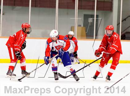 Thumbnail 2 in Regis Jesuit @ Cherry Creek photogallery.