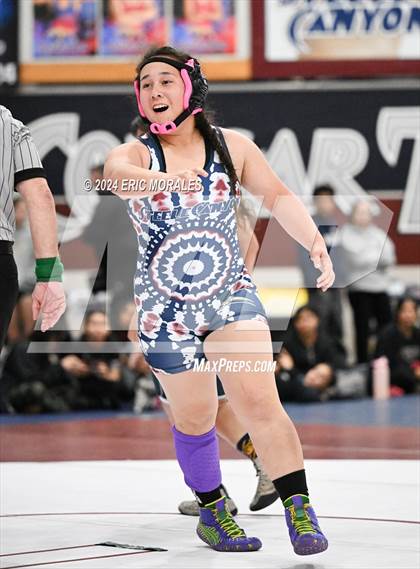 Thumbnail 1 in CIFSDS Div 1 Championship (Finals) photogallery.