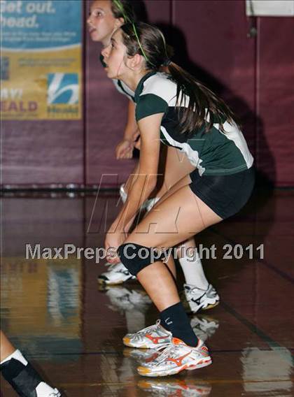 Thumbnail 1 in Modesto vs Rodriguez (Viking Classic Tournament) photogallery.