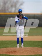 Photo from the gallery "Alameda @ D'Evelyn"