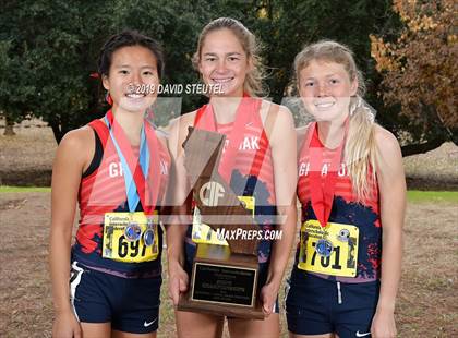 Thumbnail 3 in CIF State Cross Country Championships (Girls Awards) photogallery.