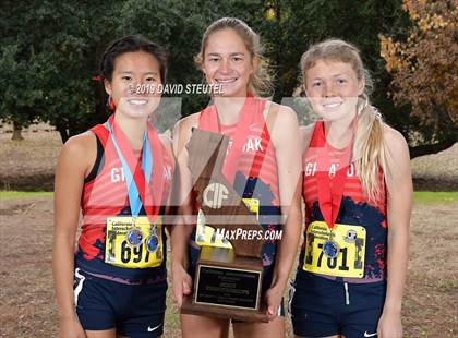 Thumbnail 2 in CIF State Cross Country Championships (Girls Awards) photogallery.