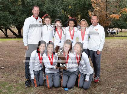 Thumbnail 2 in CIF State Cross Country Championships (Girls Awards) photogallery.