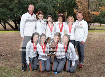 Thumbnail 1 in CIF State Cross Country Championships (Girls Awards) photogallery.