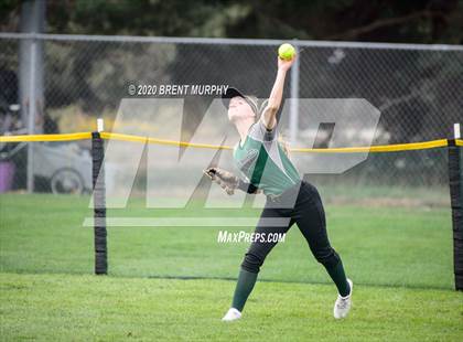 Thumbnail 3 in Frederick vs. Conifer photogallery.