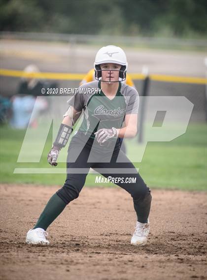 Thumbnail 3 in Frederick vs. Conifer photogallery.
