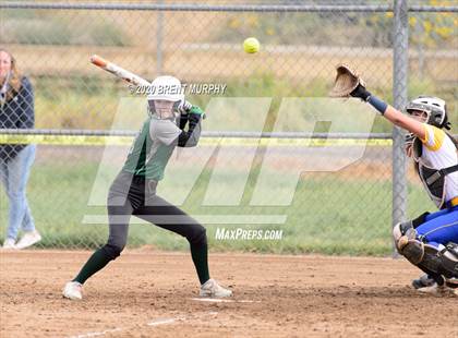 Thumbnail 3 in Frederick vs. Conifer photogallery.