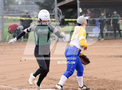 Thumbnail 1 in Frederick vs. Conifer photogallery.