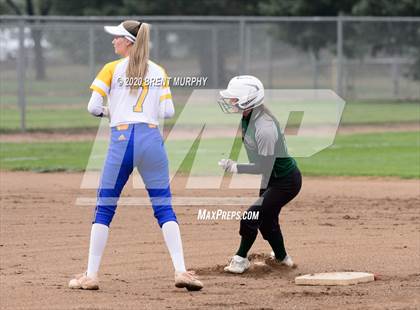 Thumbnail 3 in Frederick vs. Conifer photogallery.
