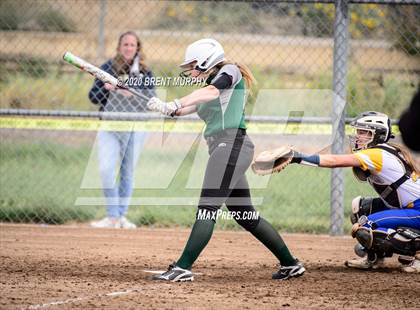 Thumbnail 3 in Frederick vs. Conifer photogallery.