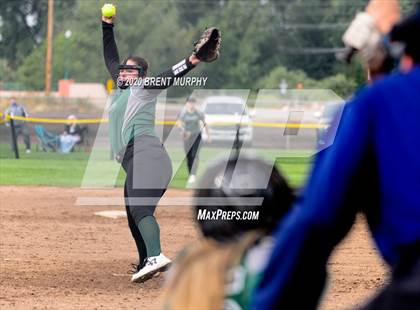Thumbnail 1 in Frederick vs. Conifer photogallery.