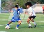Photo from the gallery "South View @ St. Pauls"