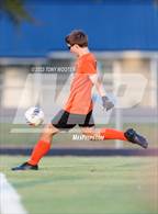 Photo from the gallery "South View @ St. Pauls"