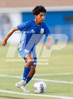 Photo from the gallery "South View @ St. Pauls"