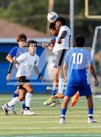 Photo from the gallery "South View @ St. Pauls"