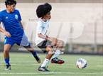 Photo from the gallery "South View @ St. Pauls"