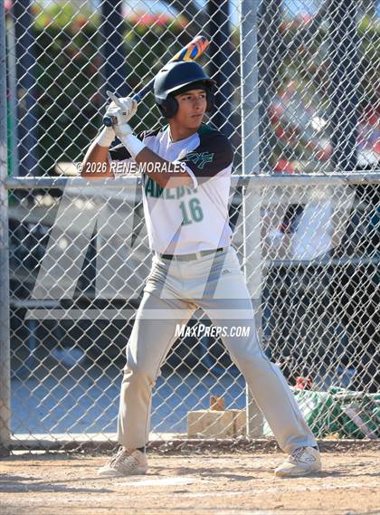 Thumbnail 1 in Hamilton vs Franklin photogallery.