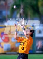 Photo from the gallery "Cypress @ Foothill"