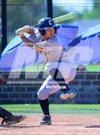 Photo from the gallery "Cypress @ Foothill"