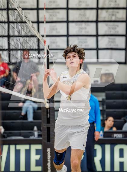 Thumbnail 1 in Mater Dei @ Servite photogallery.