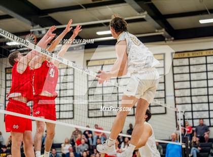 Thumbnail 3 in Mater Dei @ Servite photogallery.