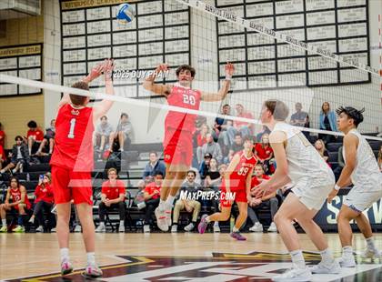 Thumbnail 2 in Mater Dei @ Servite photogallery.