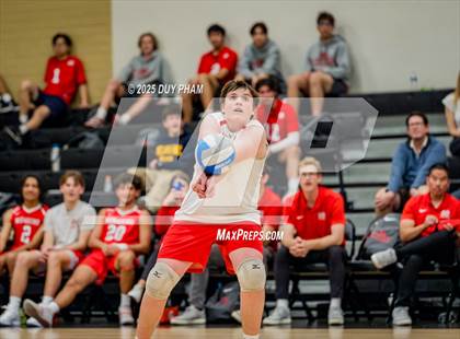 Thumbnail 2 in Mater Dei @ Servite photogallery.
