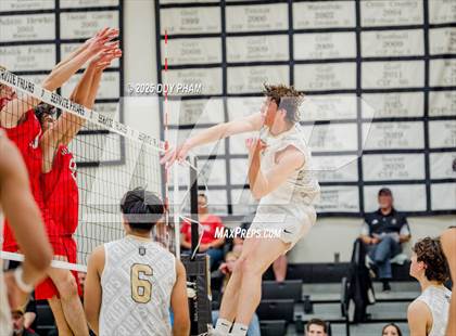 Thumbnail 3 in Mater Dei @ Servite photogallery.