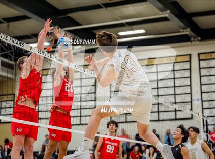 Thumbnail 1 in Mater Dei @ Servite photogallery.