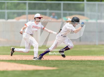 Thumbnail 2 in Sterling vs. Bayfield (CHSAA 3A Playoffs) photogallery.