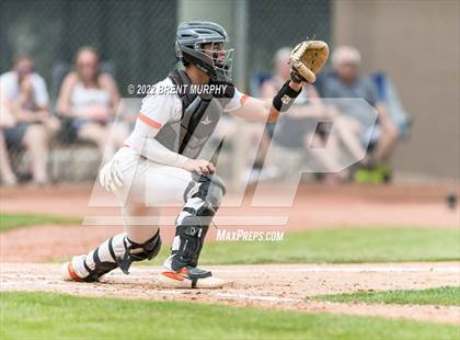 Thumbnail 2 in Sterling vs. Bayfield (CHSAA 3A Playoffs) photogallery.