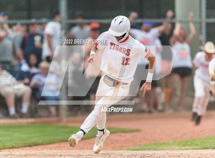 Thumbnail 1 in Sterling vs. Bayfield (CHSAA 3A Playoffs) photogallery.