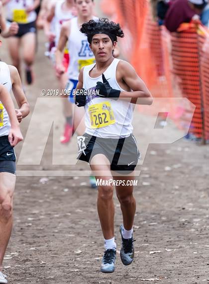 Thumbnail 1 in CIF State Cross Country Championships (Boys D4 Race) photogallery.